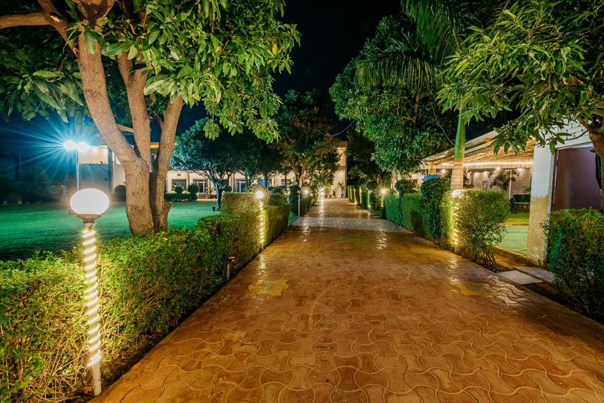 Aditya Palace プシュカル エクステリア 写真