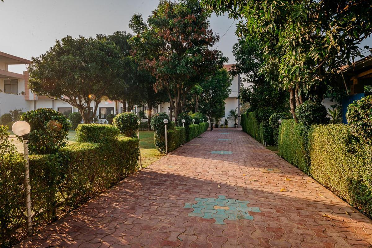 Aditya Palace プシュカル エクステリア 写真